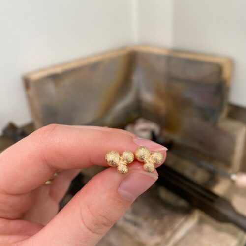 Blåbær ørestikkere